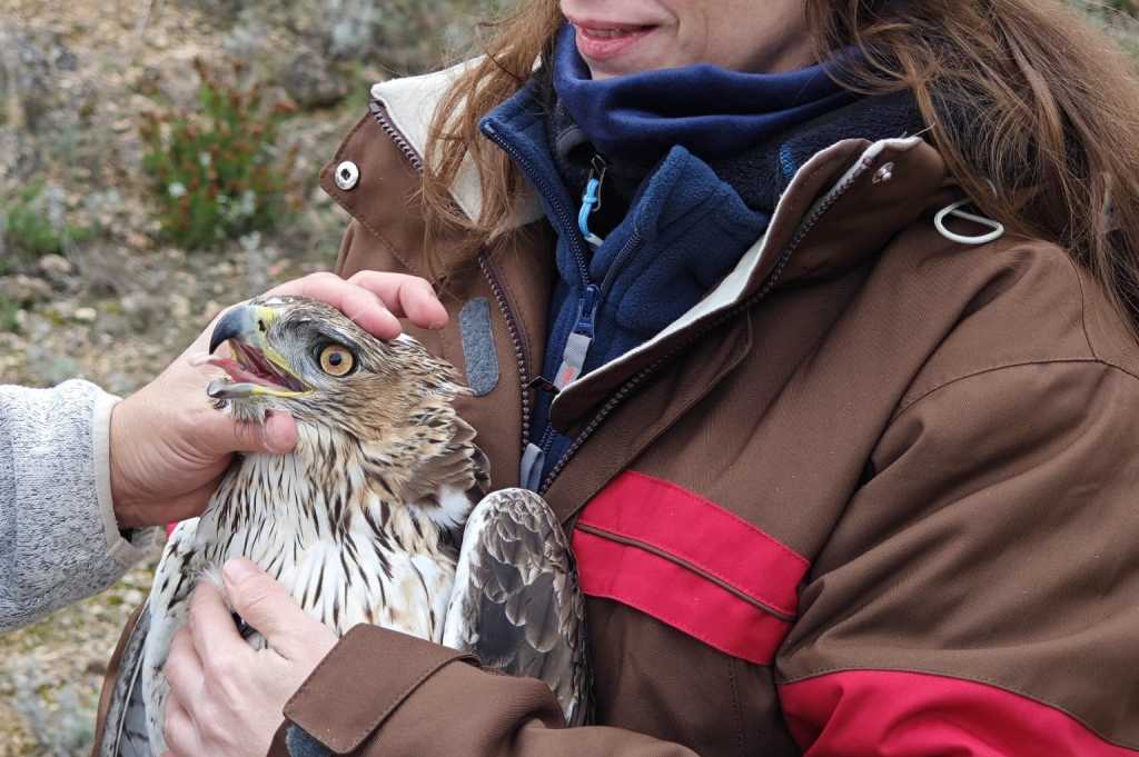 Image for: Estudios de Biodiversidad y Medidas Compensatorias