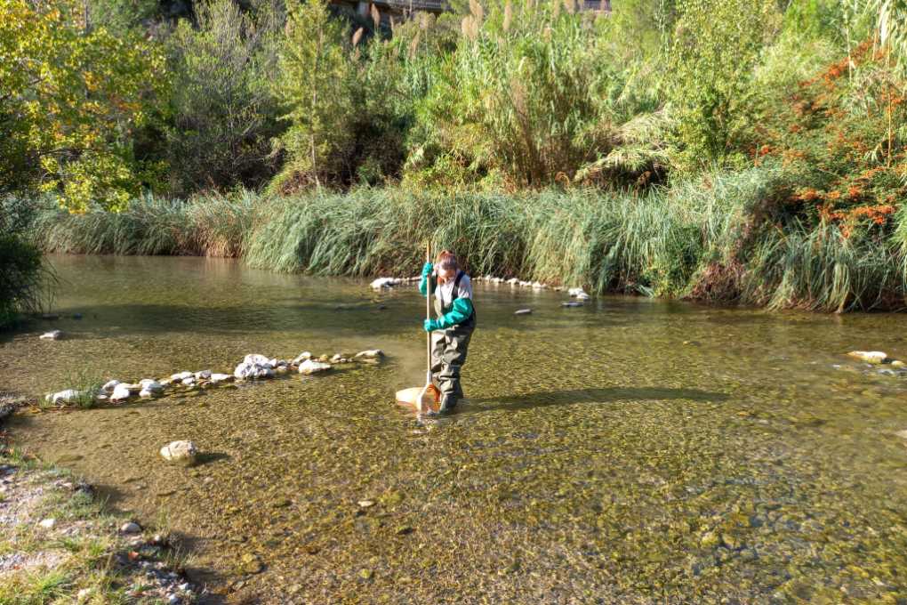 Image for: Estudios de Calidad Ambiental