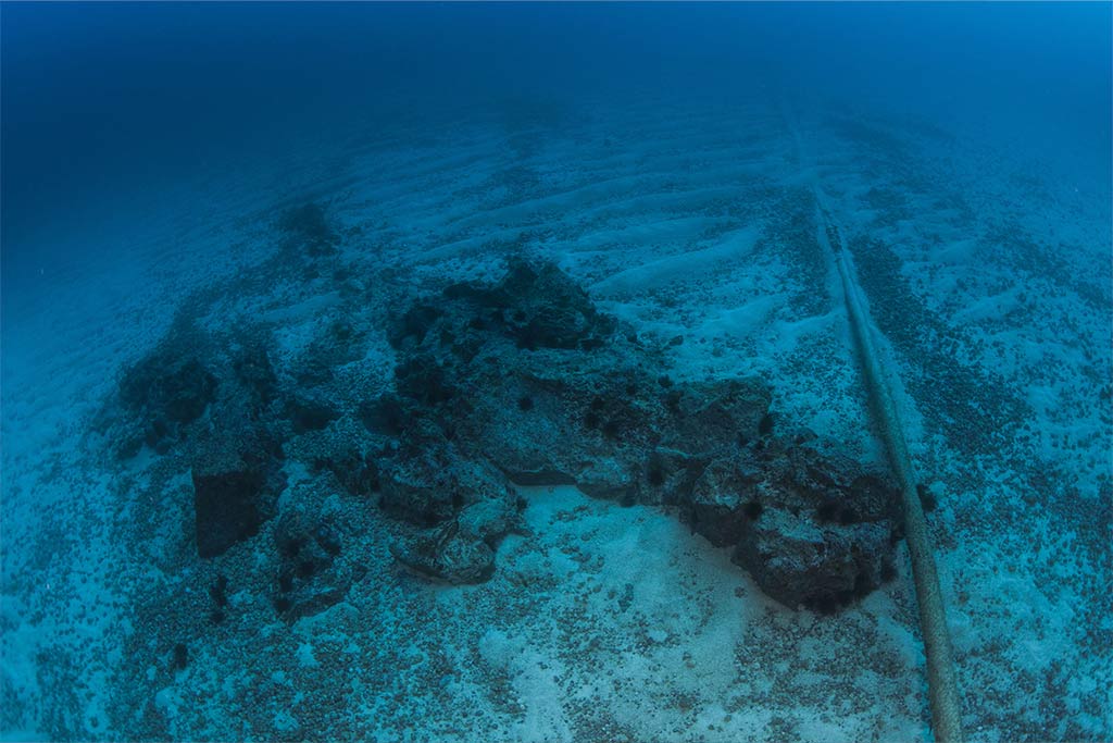 Image for: Soporte en Construcción y Mantenimiento