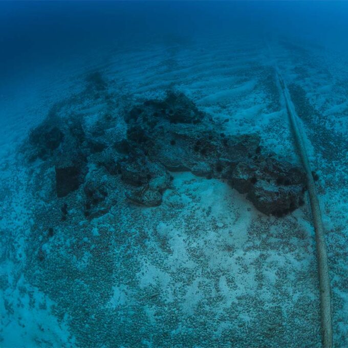 Image for: Apoyo en Construcción y Mantenimiento 