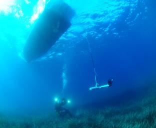 Image for: Plan Vigilancia Ambiental