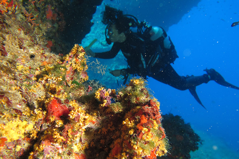 Image for: Guiados por la integridad 