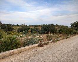 Image for: Documento Ambiental colector