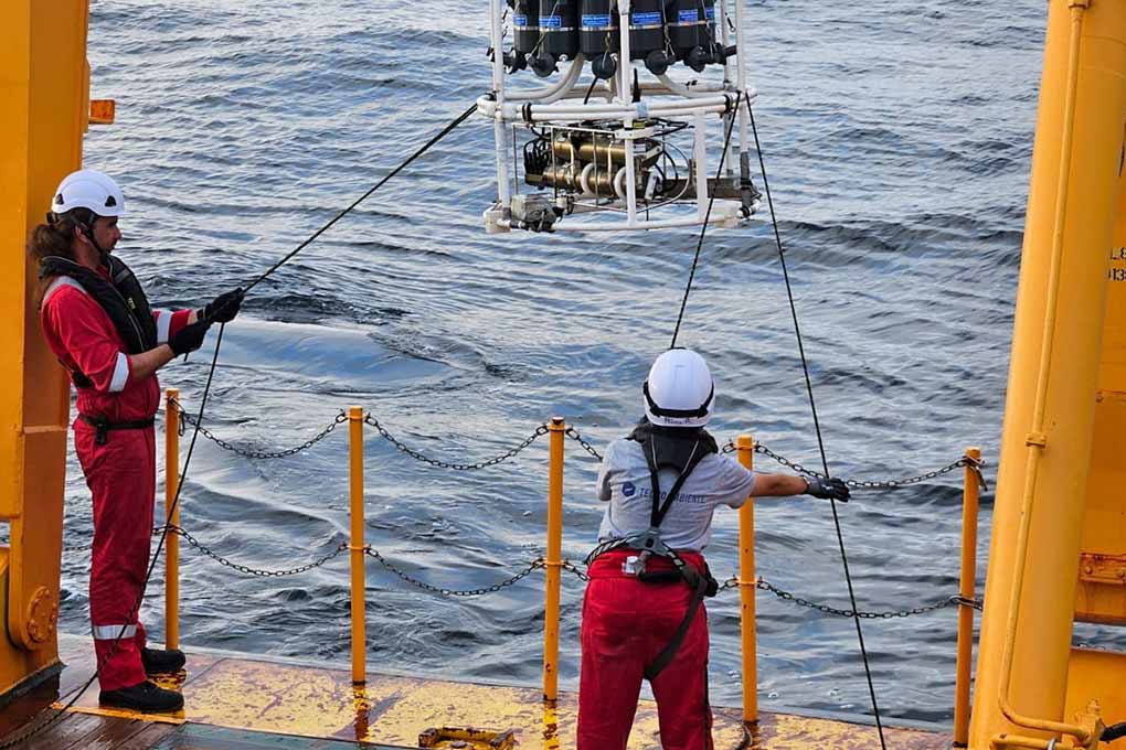 Image for: Campañas Ambientales