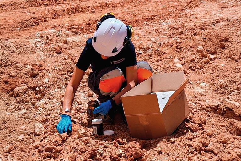 Image for: Inspección y Control