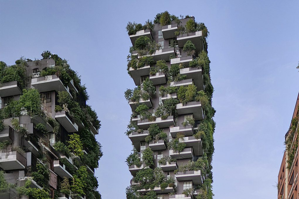 Image for: Memorias de sostenibilidad y EINF