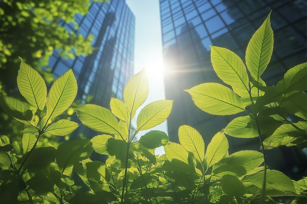 Image for: Huella de Carbono y compensación