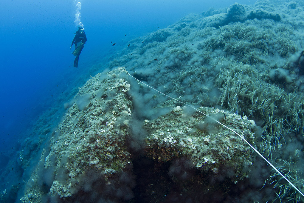 Image for: Inspección e Imágenes Submarinas