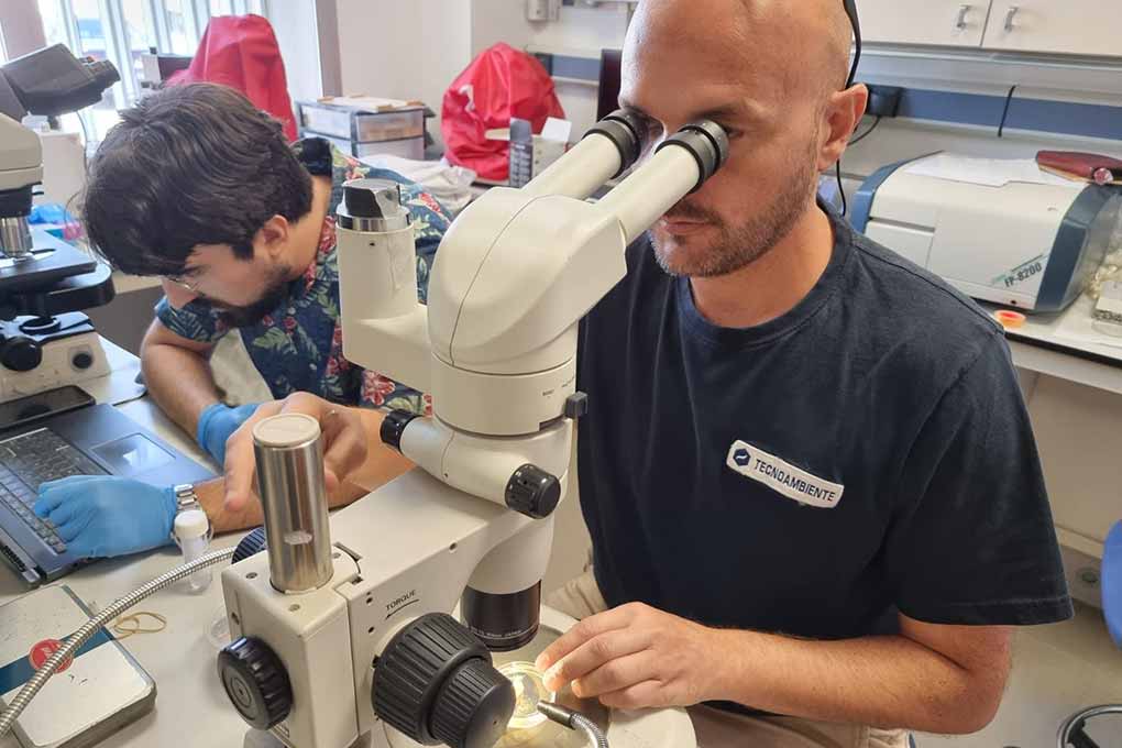 Image for: Innovación con propósito