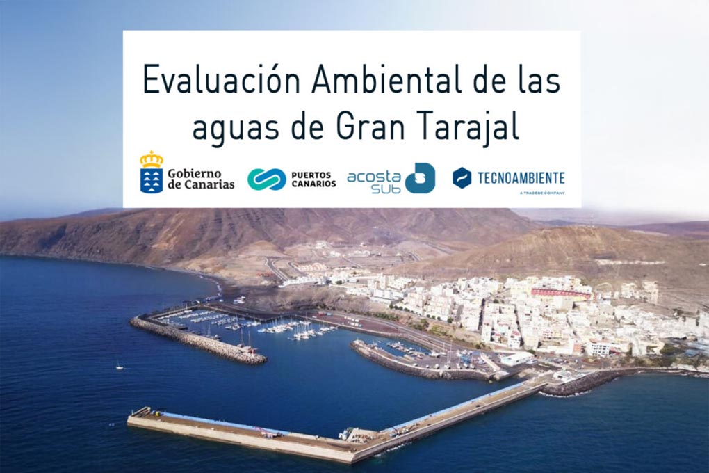 Image for: AcostaSub y Tecnoambiente trabajan juntos en Gran Tarajal (Fuerteventura)