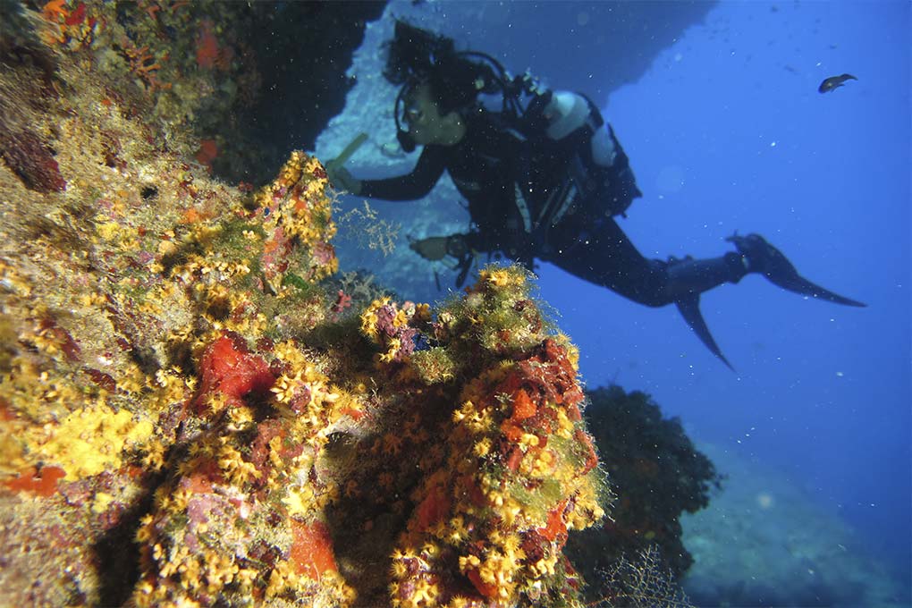 Image for: Evaluaciones Ambientales