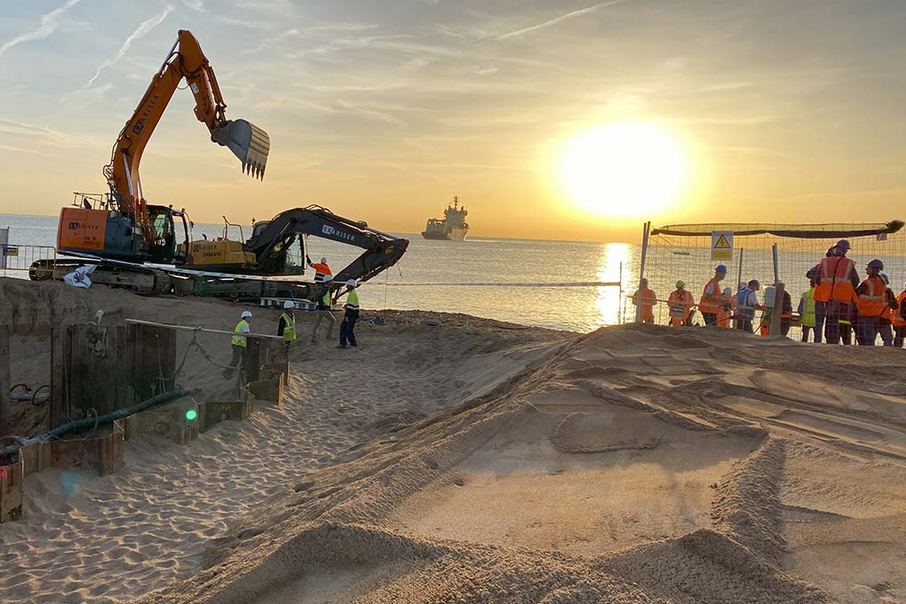 Image for: Vigilancia Ambiental