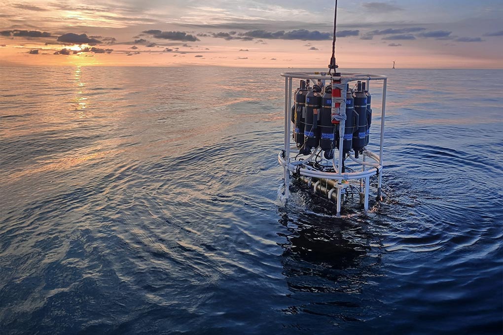 Image for: Consultoría Ambiental