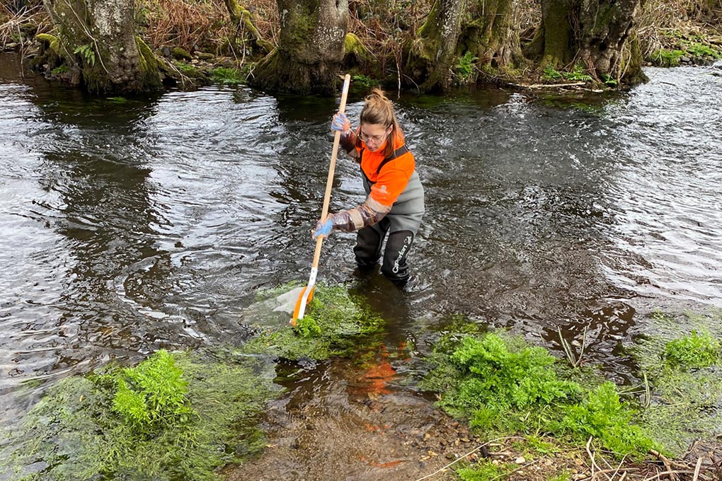 Image for: Bioindicadores